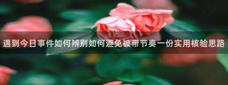 91吃瓜网络热搜