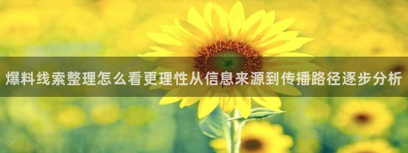 吃瓜网络热点