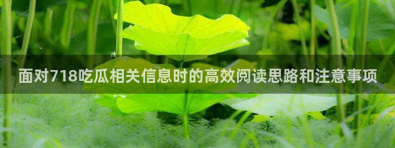 吃瓜网络热点