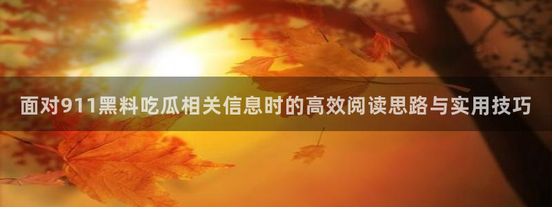91吃瓜入口页面:面对911黑料吃瓜相关信息时的高效阅读思路与实用技巧