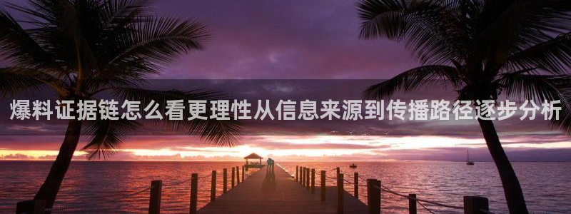 91吃瓜话题大全:爆料证据链怎么看更理性从信息来源到传播路径逐步分析